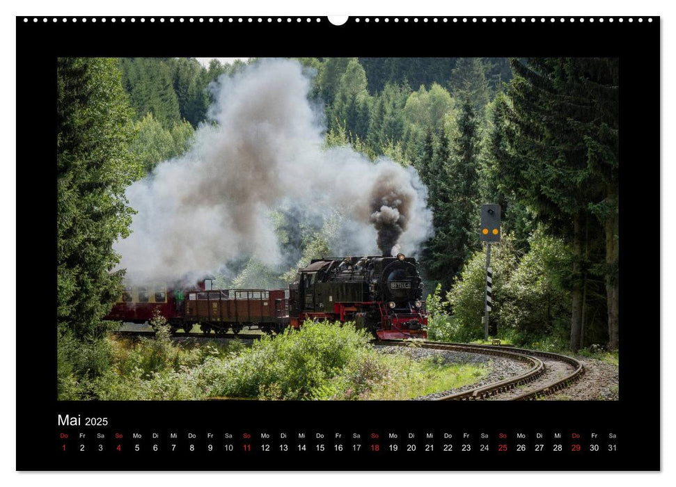 Dampferlebnis im Harz (CALVENDO Premium Wandkalender 2025)