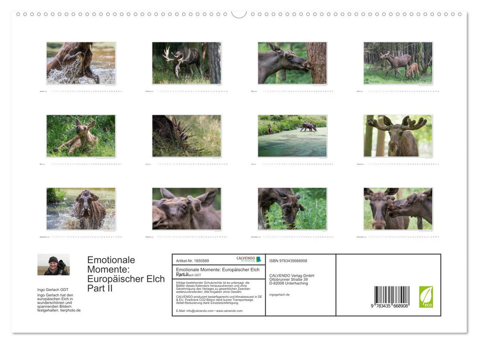 Emotionale Momente: Europäischer Elch Part II (CALVENDO Premium Wandkalender 2025)