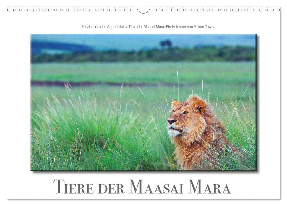 Tiere der Maasai Mara (CALVENDO Wandkalender 2025)