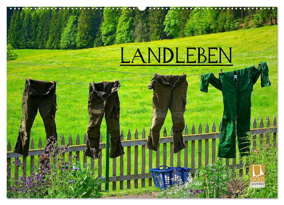 Landleben (CALVENDO Wandkalender 2025)