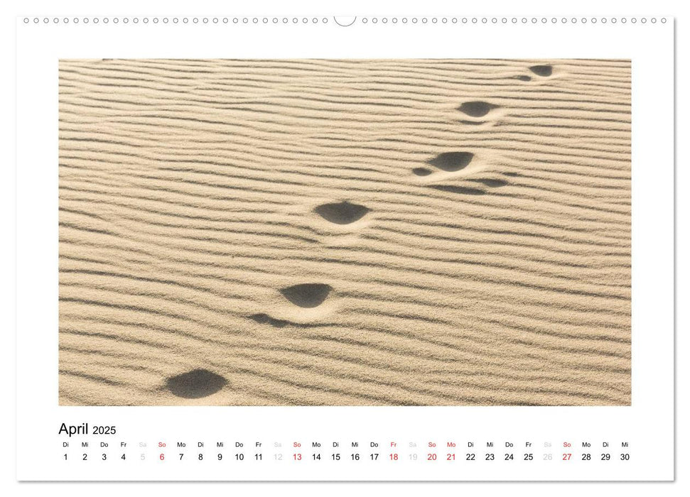 Sylt - Magische Momente (CALVENDO Premium Wandkalender 2025)