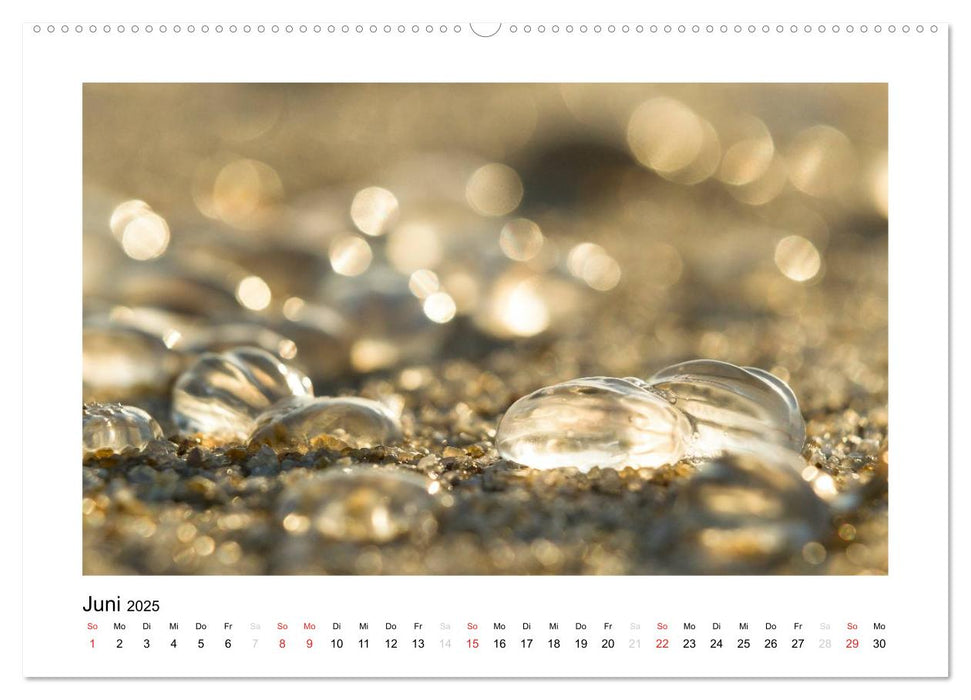 Sylt - Magische Momente (CALVENDO Premium Wandkalender 2025)