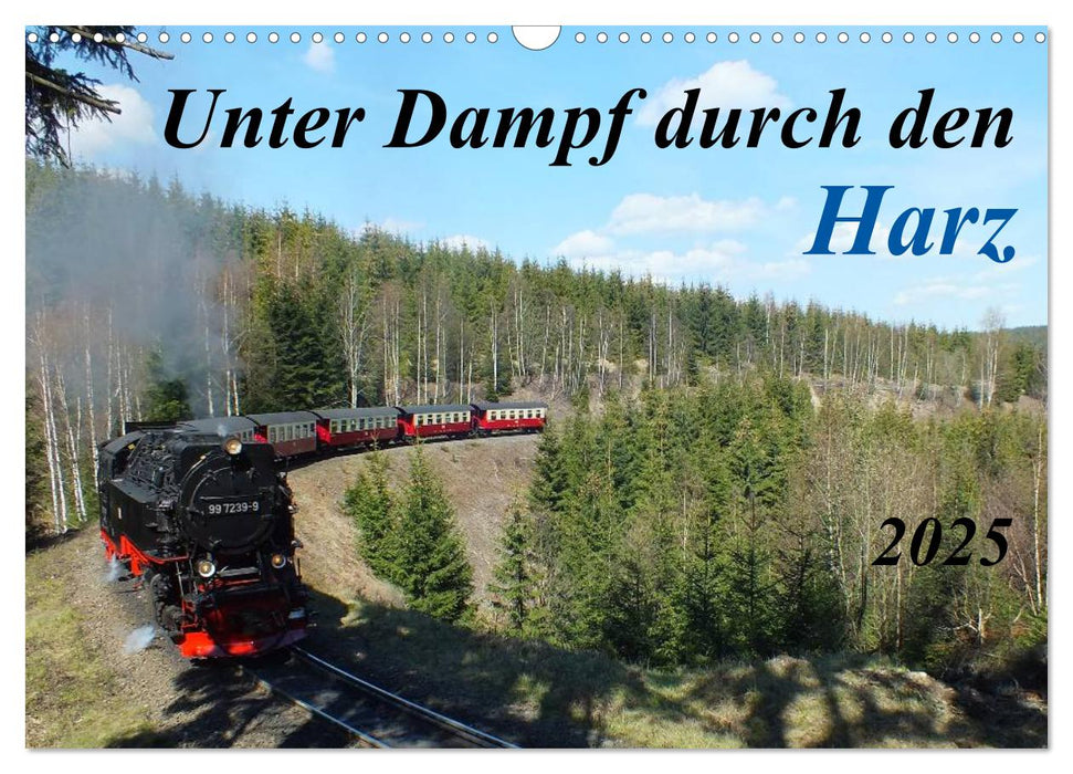Unter Dampf durch den Harz (CALVENDO Wandkalender 2025)