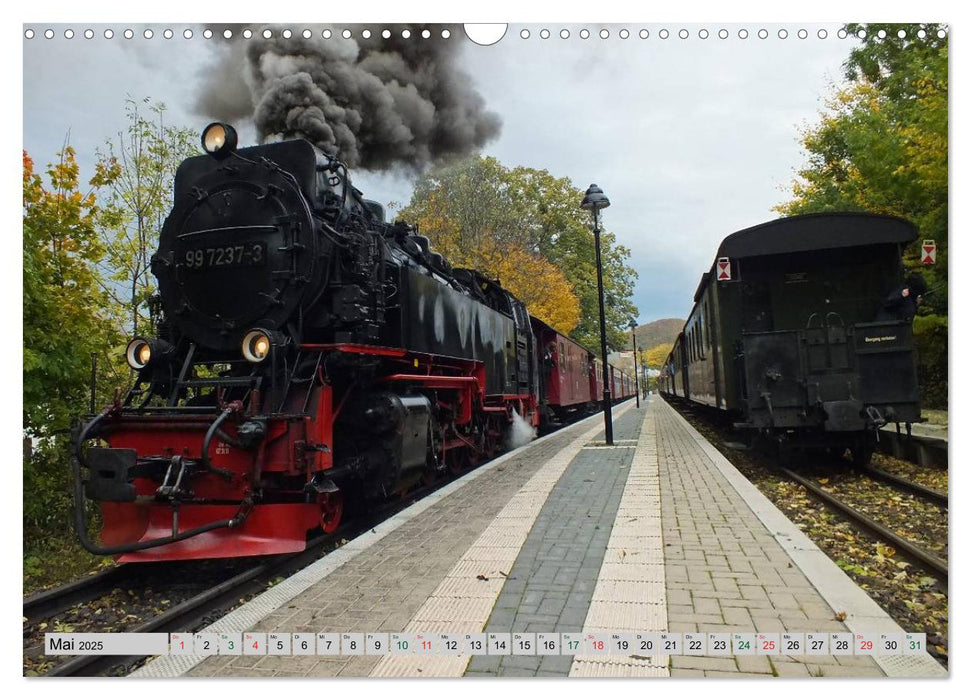 Unter Dampf durch den Harz (CALVENDO Wandkalender 2025)