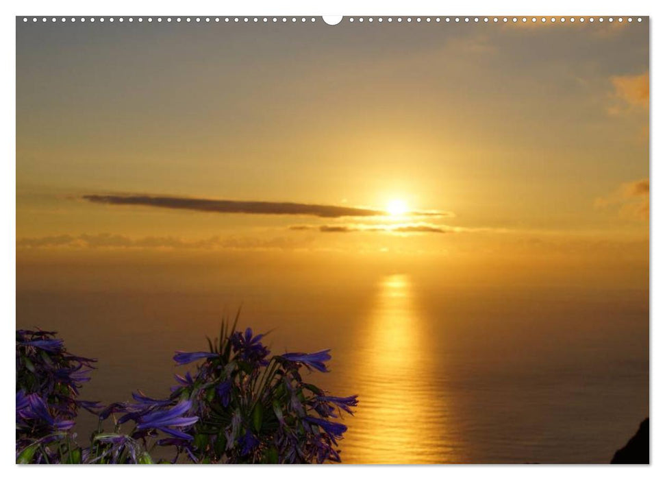 Die Insel Madeira (CALVENDO Premium Wandkalender 2025)