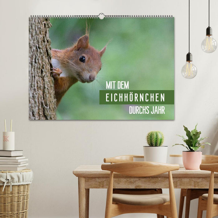 Mit dem Eichhörnchen durchs Jahr (CALVENDO Wandkalender 2025)