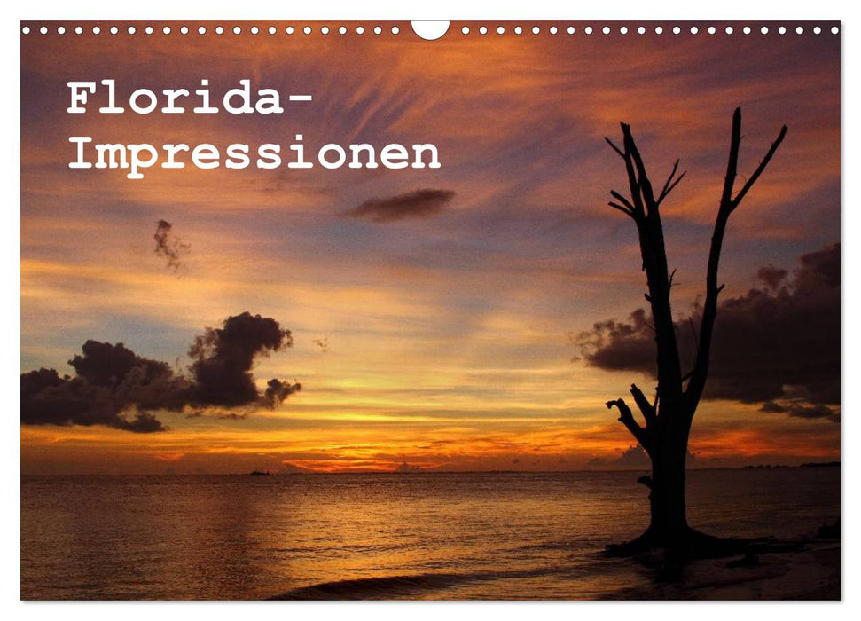 Florida Impressionen (CALVENDO Wandkalender 2025)