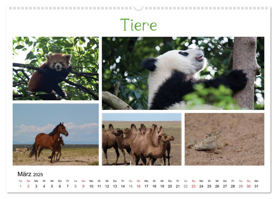 Reisefreu(n)de: Die bunte Reise nach Asien (CALVENDO Premium Wandkalender 2025)