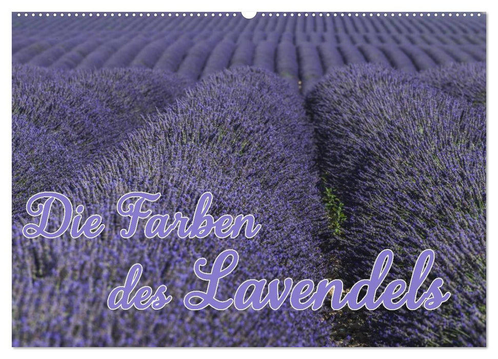 Die Farbe des Lavendels (CALVENDO Wandkalender 2025)