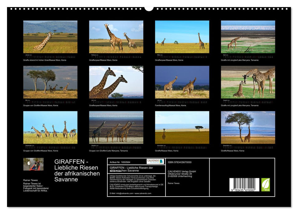 GIRAFFEN - Liebliche Riesen der afrikanischen Savanne (CALVENDO Premium Wandkalender 2025)