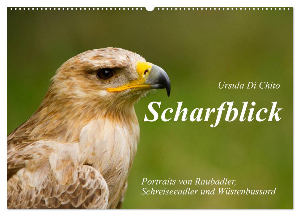 Scharfblick (CALVENDO Wandkalender 2025)