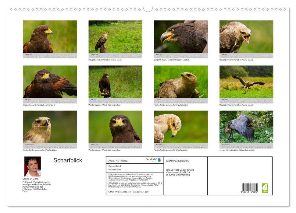 Scharfblick (CALVENDO Wandkalender 2025)