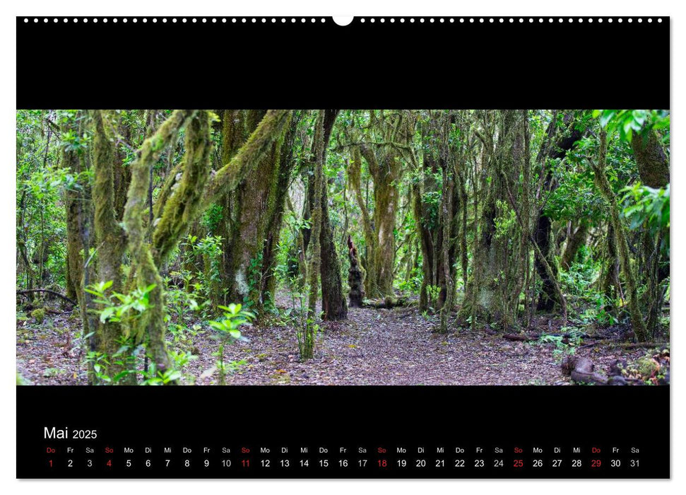 La Gomera - Kanarisches Naturparadies (CALVENDO Premium Wandkalender 2025)