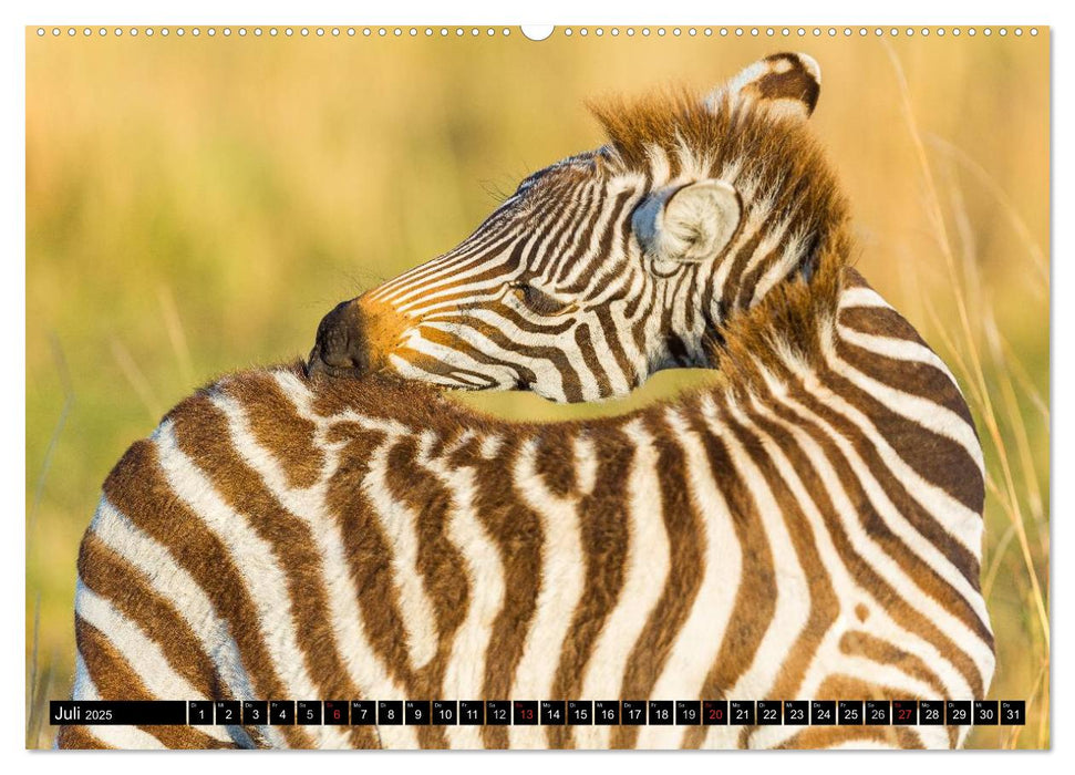 Masai Mara 2025 (CALVENDO Premium Wandkalender 2025)