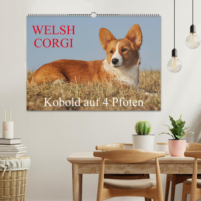 Welsh Corgi - Kobold auf 4 Pfoten (CALVENDO Wandkalender 2025)