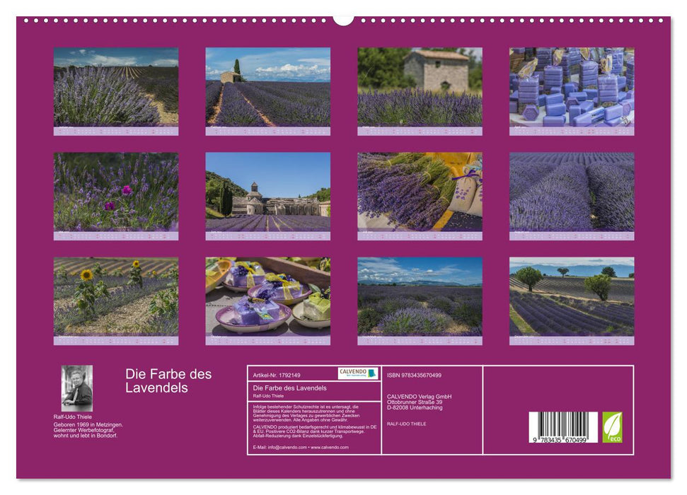 Die Farbe des Lavendels (CALVENDO Premium Wandkalender 2025)