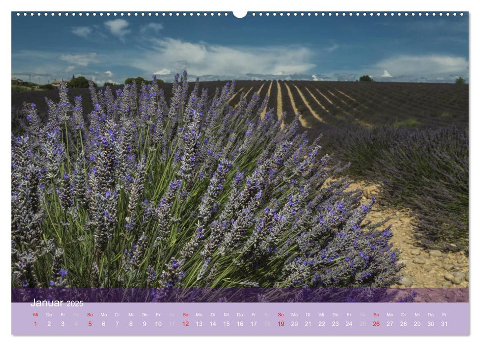 Die Farbe des Lavendels (CALVENDO Premium Wandkalender 2025)