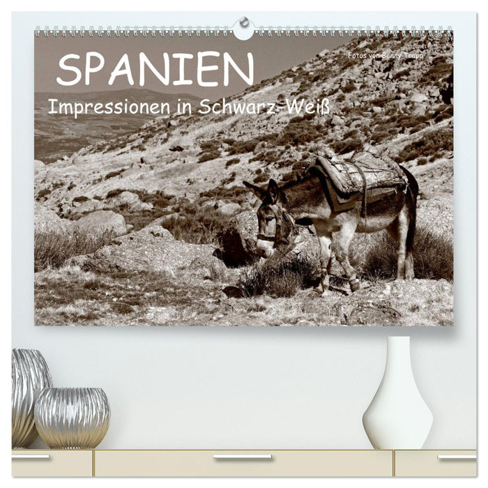 Spanien Impressionen in Schwarz-Weiß (CALVENDO Premium Wandkalender 2025)