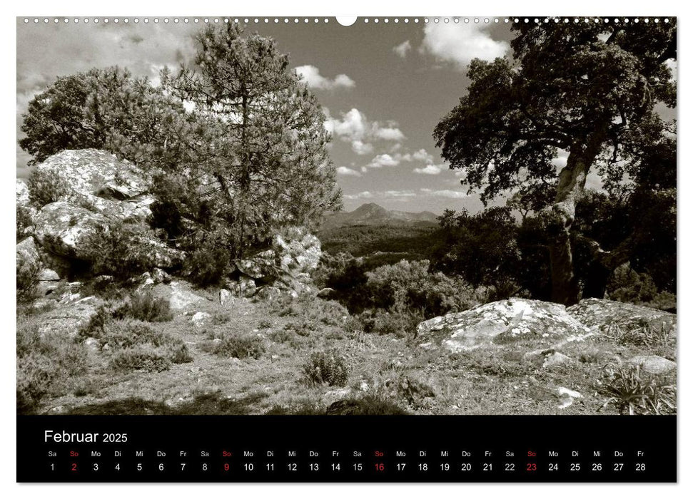 Spanien Impressionen in Schwarz-Weiß (CALVENDO Premium Wandkalender 2025)