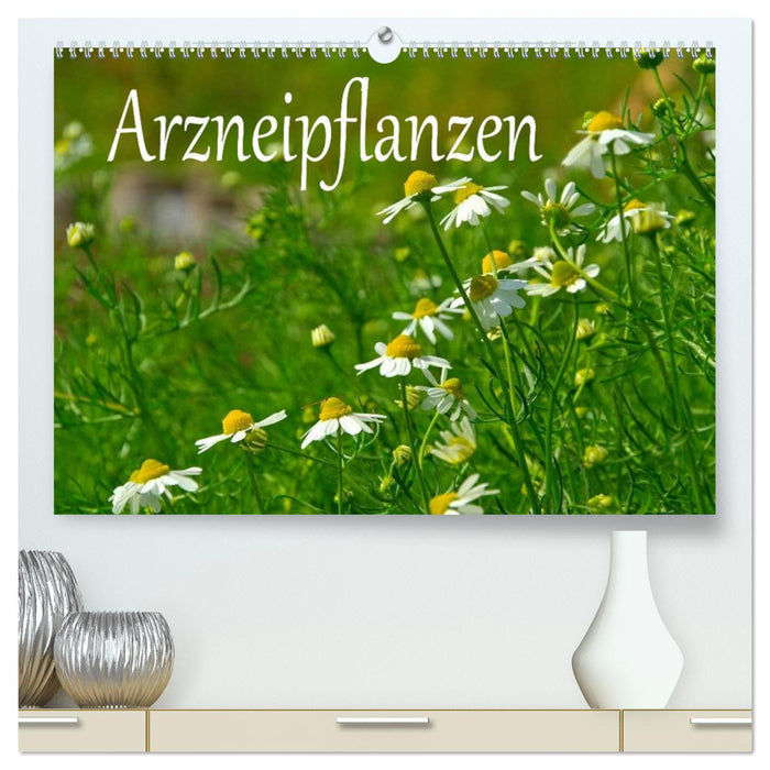 Arzneipflanzen (CALVENDO Premium Wandkalender 2025)