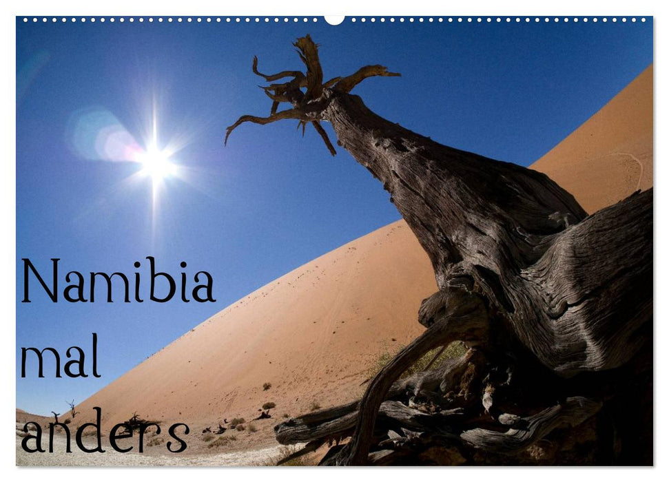 Namibia mal anders (CALVENDO Wandkalender 2025)