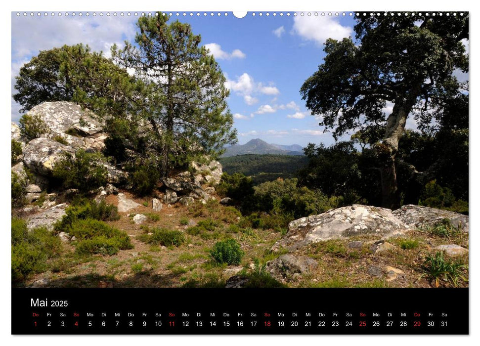 Spanien (CALVENDO Premium Wandkalender 2025)