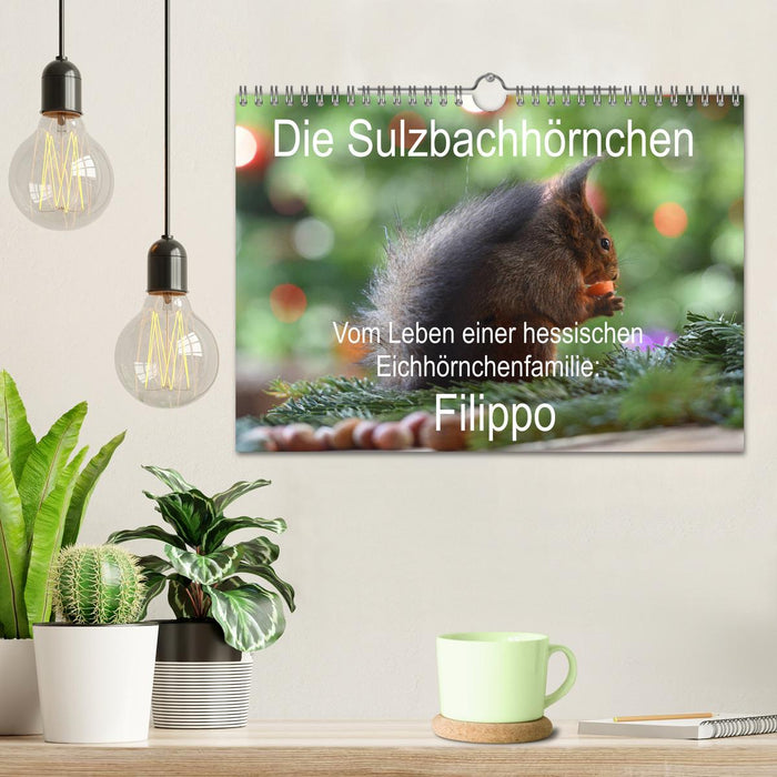 Die Sulzbachhörnchen - vom Leben einer hessischen Eichhörnchenfamilie (CALVENDO Wandkalender 2025)