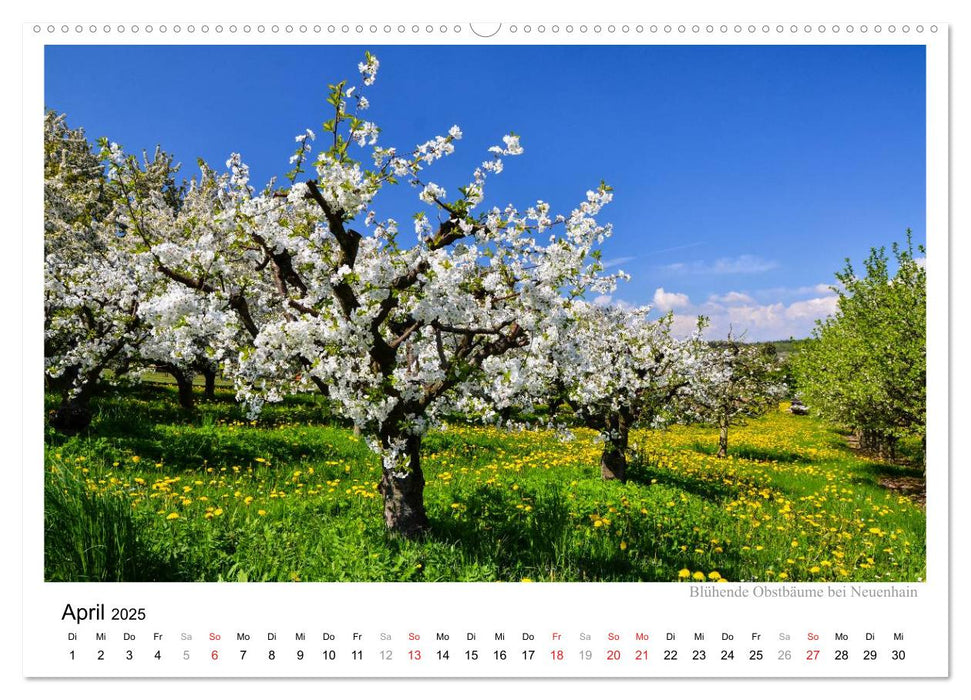 Bad Soden am Taunus (CALVENDO Premium Wandkalender 2025)