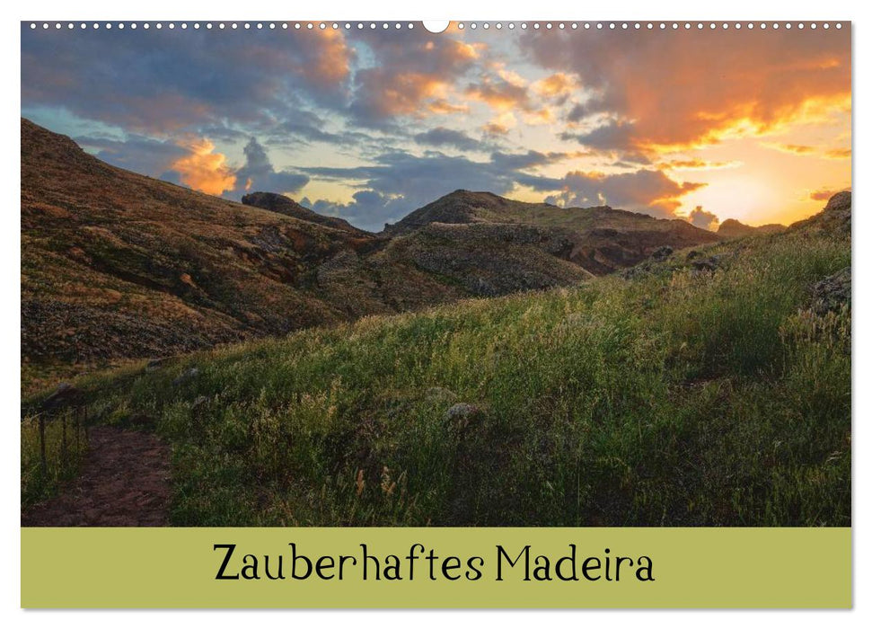 Zauberhaftes Madeira (CALVENDO Wandkalender 2025)