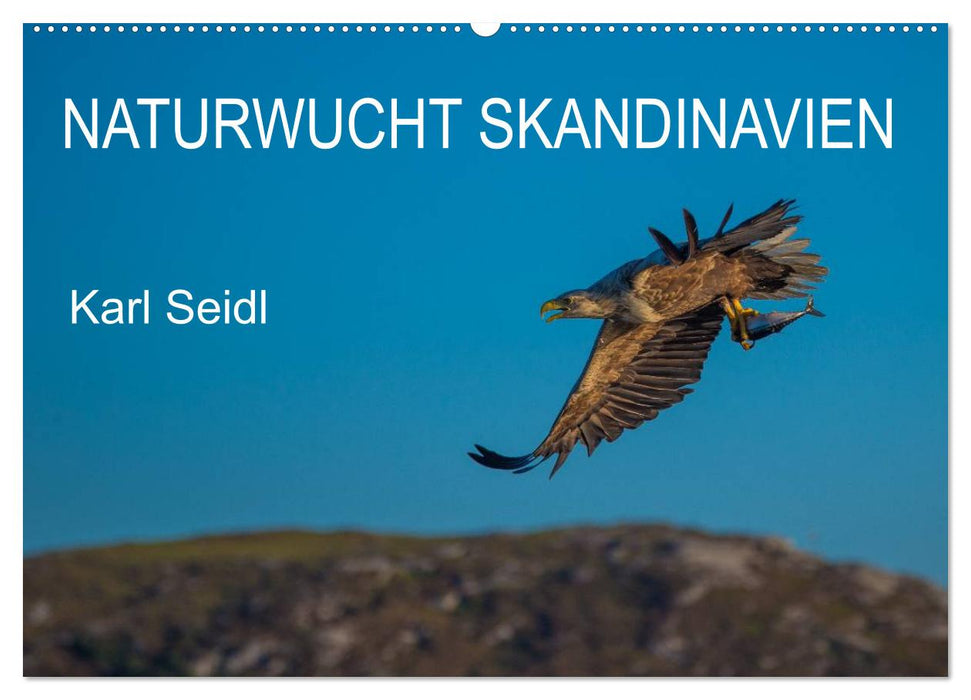 Naturwucht Skandinavien (CALVENDO Wandkalender 2025)