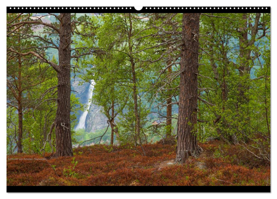 Naturwucht Skandinavien (CALVENDO Wandkalender 2025)
