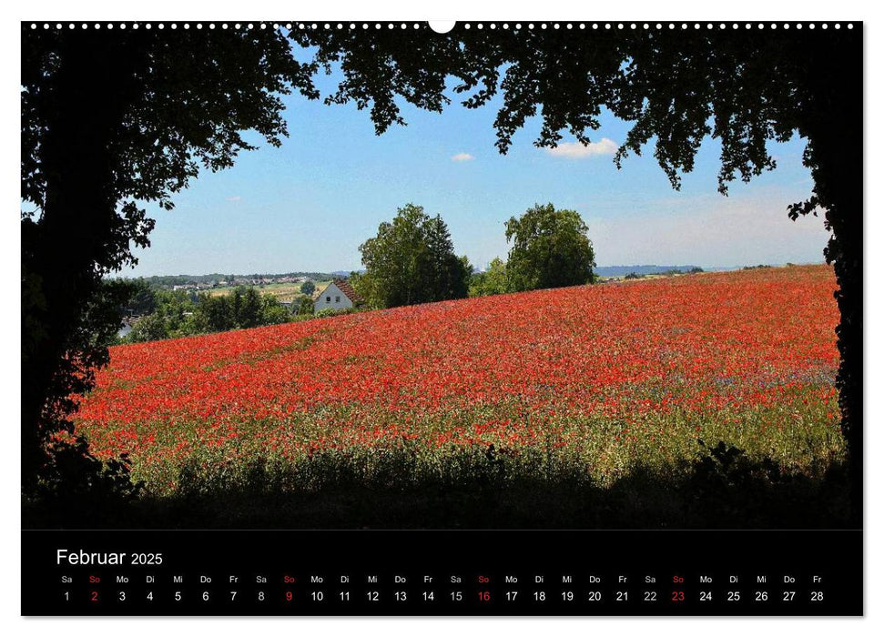 Mohnblumenfelder (CALVENDO Wandkalender 2025)