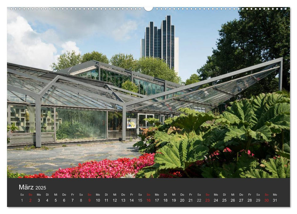 Hamburger Stadtansichten (CALVENDO Premium Wandkalender 2025)