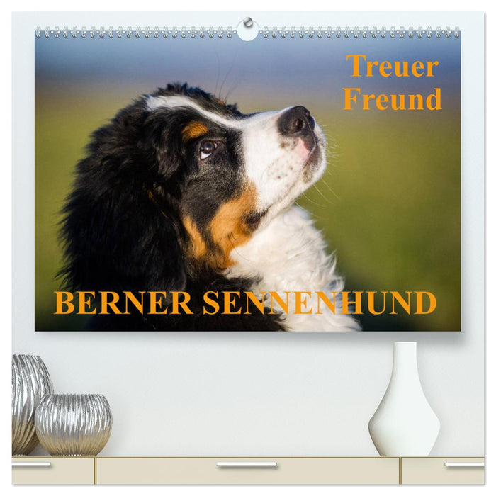 Treuer Freund Berner Sennenhund (CALVENDO Premium Wandkalender 2025)