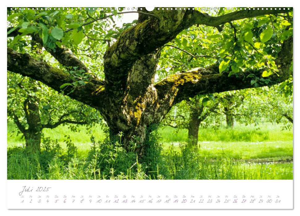 Im Kreislehrgarten (CALVENDO Premium Wandkalender 2025)