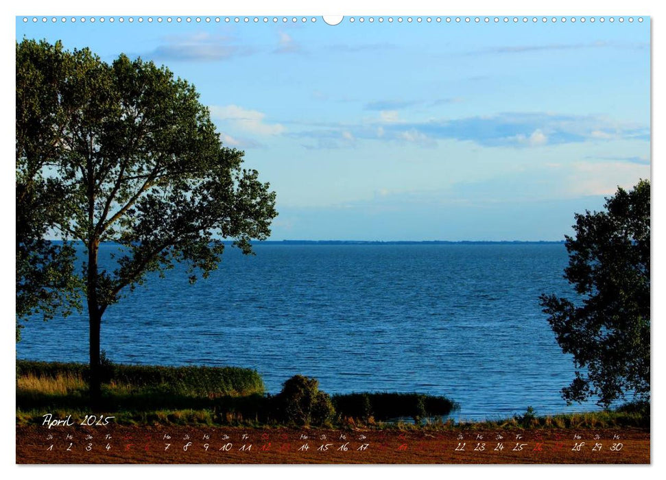 Zuhause an der Ostsee (CALVENDO Premium Wandkalender 2025)