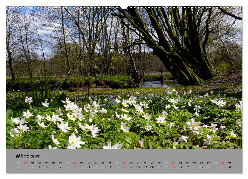 Lüneburger Heide - schön zu jeder Jahreszeit (CALVENDO Premium Wandkalender 2025)