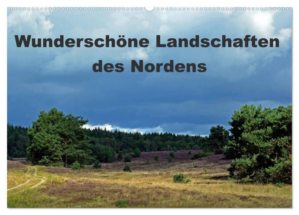 Wunderschöne Landschaften des Nordens (CALVENDO Wandkalender 2025)