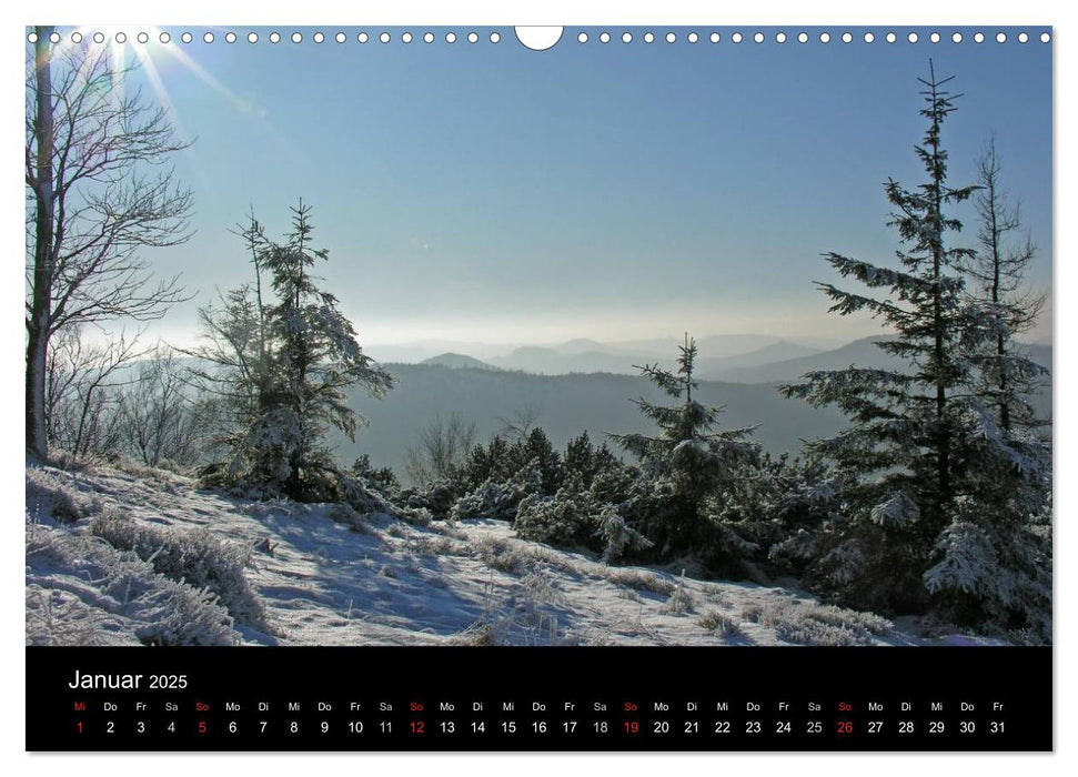 Mein liebes Lausitzer Gebirge (CALVENDO Wandkalender 2025)