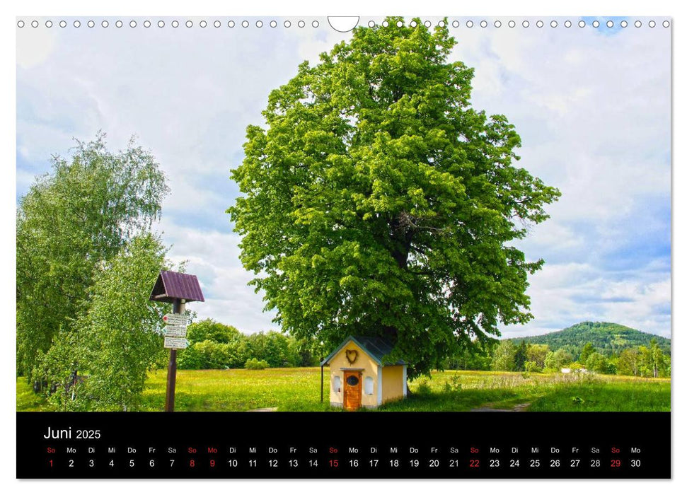 Mein liebes Lausitzer Gebirge (CALVENDO Wandkalender 2025)