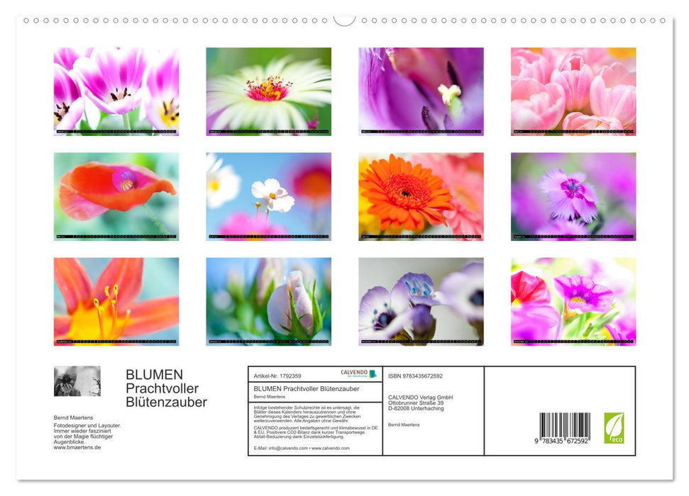 BLUMEN Prachtvoller Blütenzauber (CALVENDO Premium Wandkalender 2025)