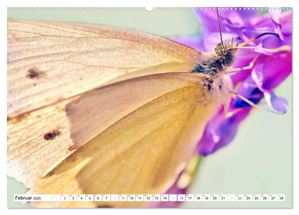 Schmetterlinge ganz nah (CALVENDO Premium Wandkalender 2025)