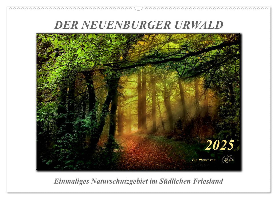 Der Neuenburger Urwald (CALVENDO Wandkalender 2025)