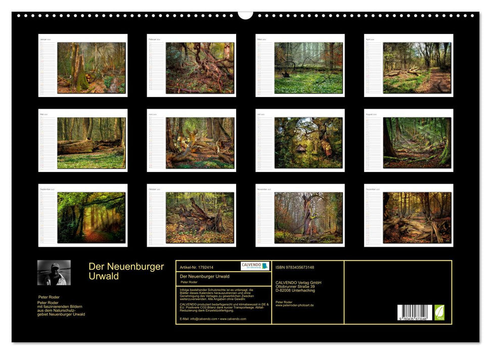 Der Neuenburger Urwald (CALVENDO Wandkalender 2025)