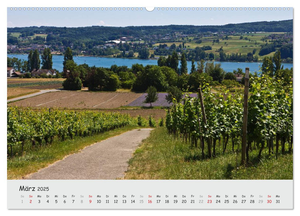 Insel Reichenau - Klosterinsel im Bodensee (CALVENDO Premium Wandkalender 2025)