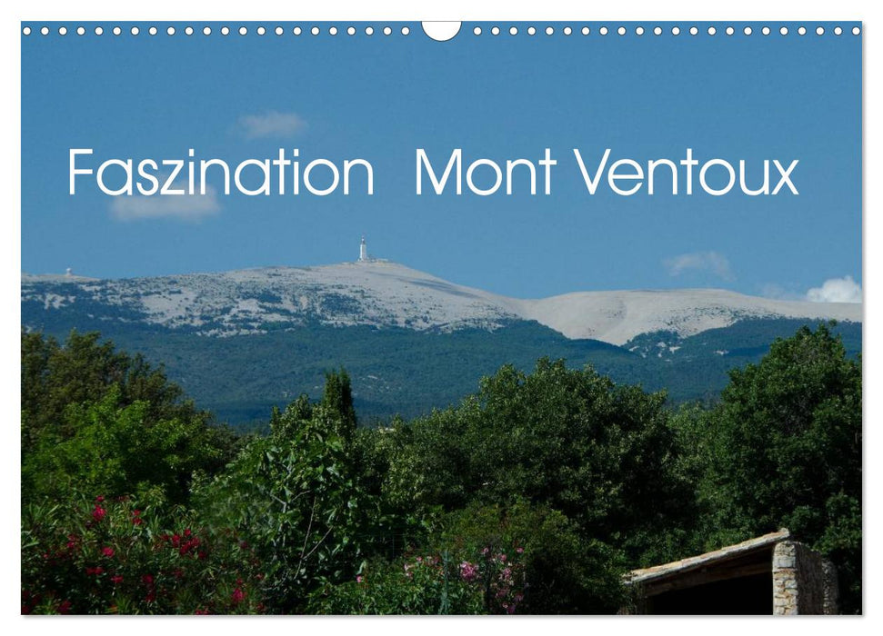 Faszination Mont Ventoux (CALVENDO Wandkalender 2025)