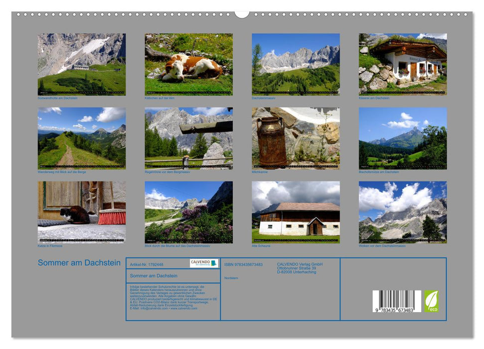 Sommer am Dachstein (CALVENDO Premium Wandkalender 2025)