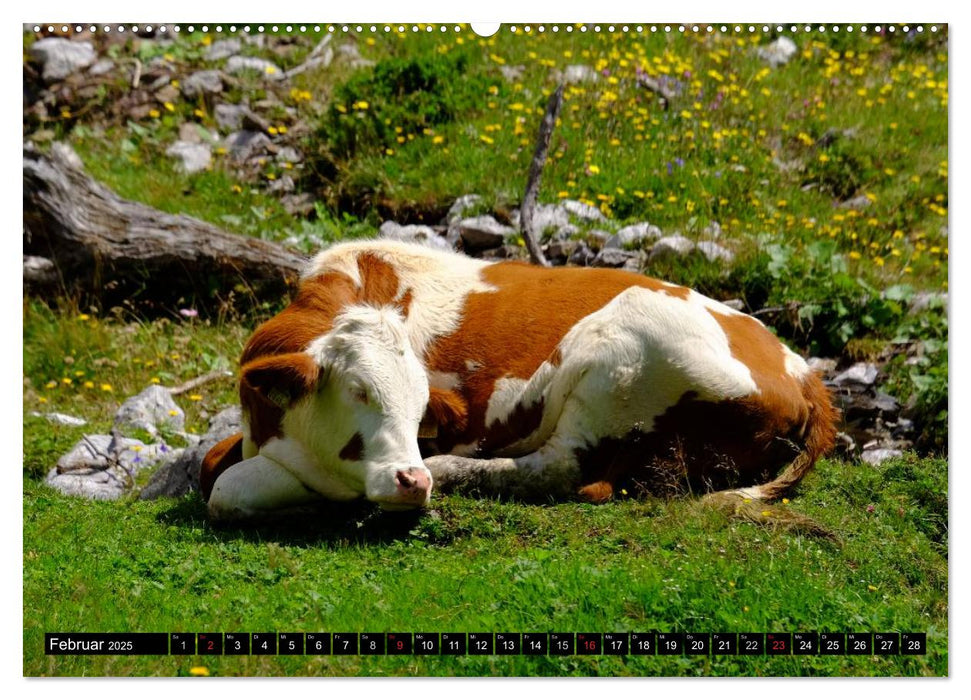 Sommer am Dachstein (CALVENDO Premium Wandkalender 2025)