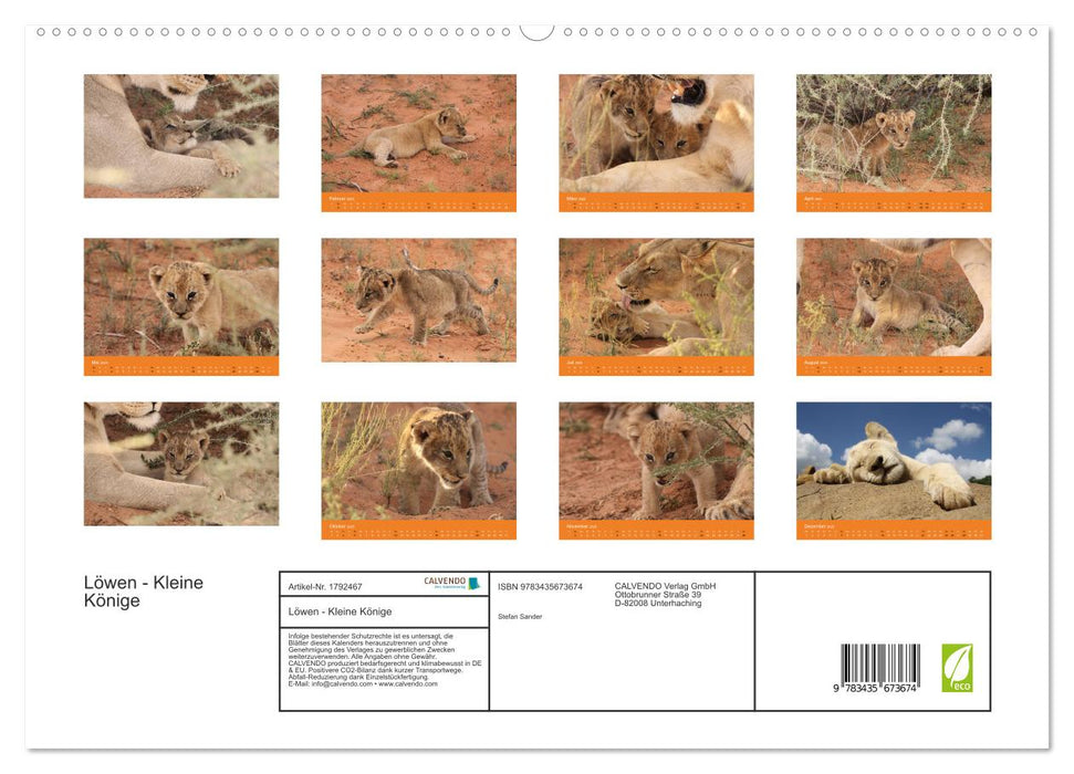 Löwen - Kleine Könige (CALVENDO Premium Wandkalender 2025)