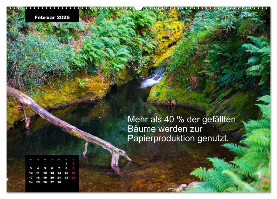 Schlaumeier-Kalender - Thema: Wald (CALVENDO Premium Wandkalender 2025)